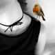 selmas0ngs image