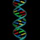 Helix image