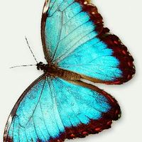 dinergirl23 image