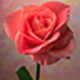 rwarren69 image