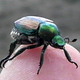 John_H_Rusk image