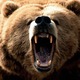 MotherGrizzly image