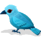 ASMARTFELLOW image