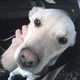 Julie090 image