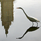 Leikonblad image