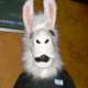 MattWolff image