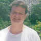 Bobo1 image
