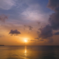 michelec2 image