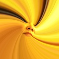 NC_Chevalier image